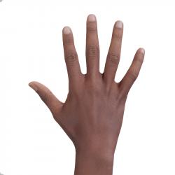 Jamaal Parsa Retopo Hand Scan